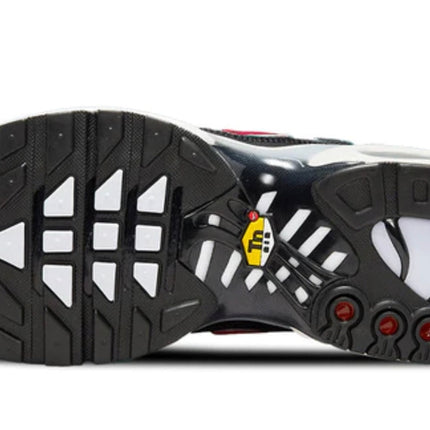 Nike Air Max Plus Tn Anthracite - Men's
